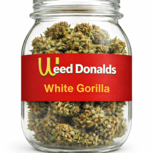 White Gorilla